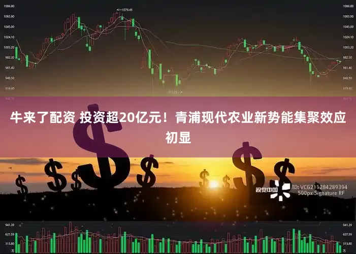 牛来了配资 投资超20亿元！青浦现代农业新势能集聚效应初显