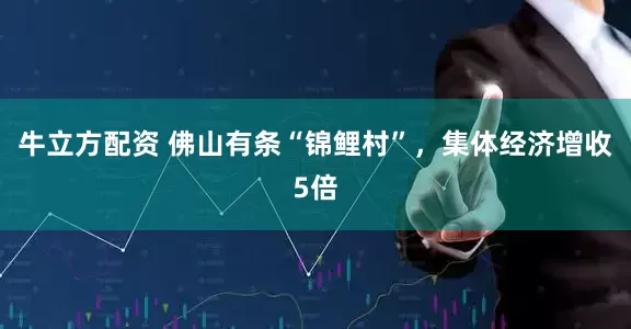 牛立方配资 佛山有条“锦鲤村”，集体经济增收5倍