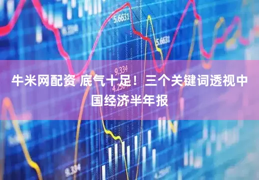 牛米网配资 底气十足！三个关键词透视中国经济半年报