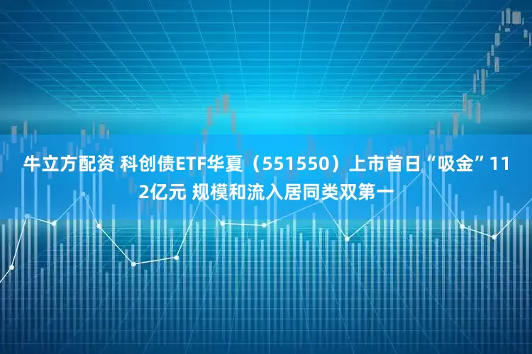 牛立方配资 科创债ETF华夏（551550）上市首日“吸金”112亿元 规模和流入居同类双第一