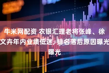 牛米网配资 农银汇理老将张峰、徐文卉年内业绩低迷, 排名落后原因曝光